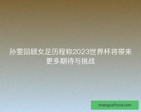 孙雯回顾女足历程称2023世界杯将带来更多期待与挑战