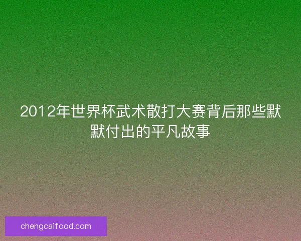 2012年世界杯武术散打大赛背后那些默默付出的平凡故事