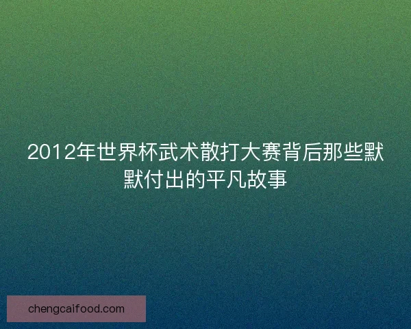 2012年世界杯武术散打大赛背后那些默默付出的平凡故事