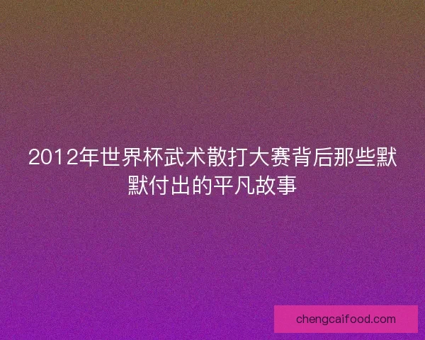 2012年世界杯武术散打大赛背后那些默默付出的平凡故事