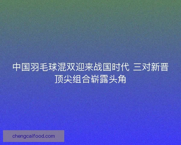 中国羽毛球混双迎来战国时代 三对新晋顶尖组合崭露头角