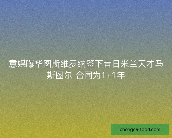 意媒曝华图斯维罗纳签下昔日米兰天才马斯图尔 合同为1+1年